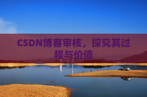 CSDN博客审核,探究其过程与价值